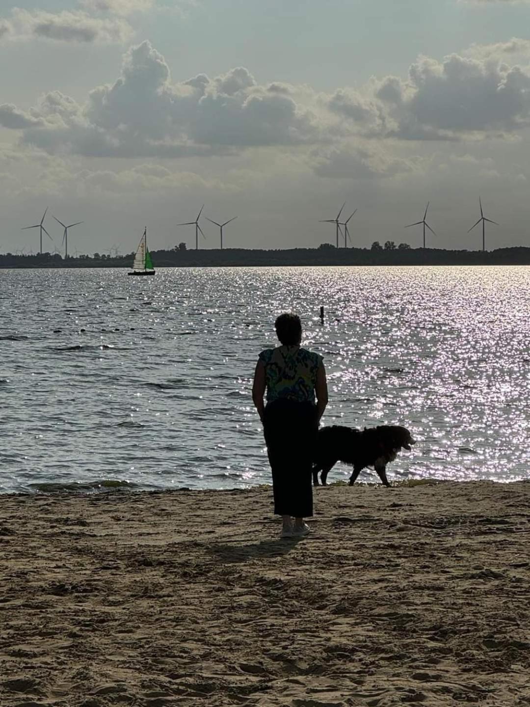 Duemmerliebe Mit Garten, 10 Min. Fusslaeufig Zum See Hüde Dış mekan fotoğraf