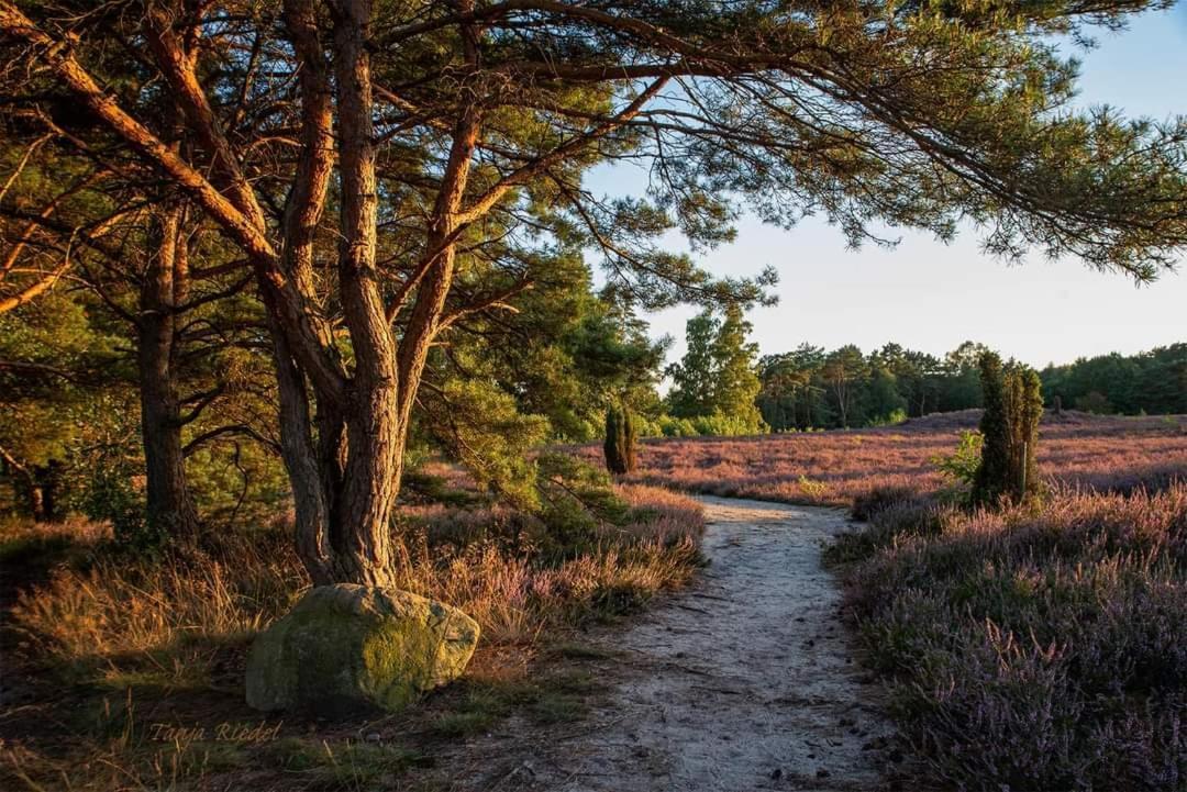 Duemmerliebe Mit Garten, 10 Min. Fusslaeufig Zum See Hüde Dış mekan fotoğraf