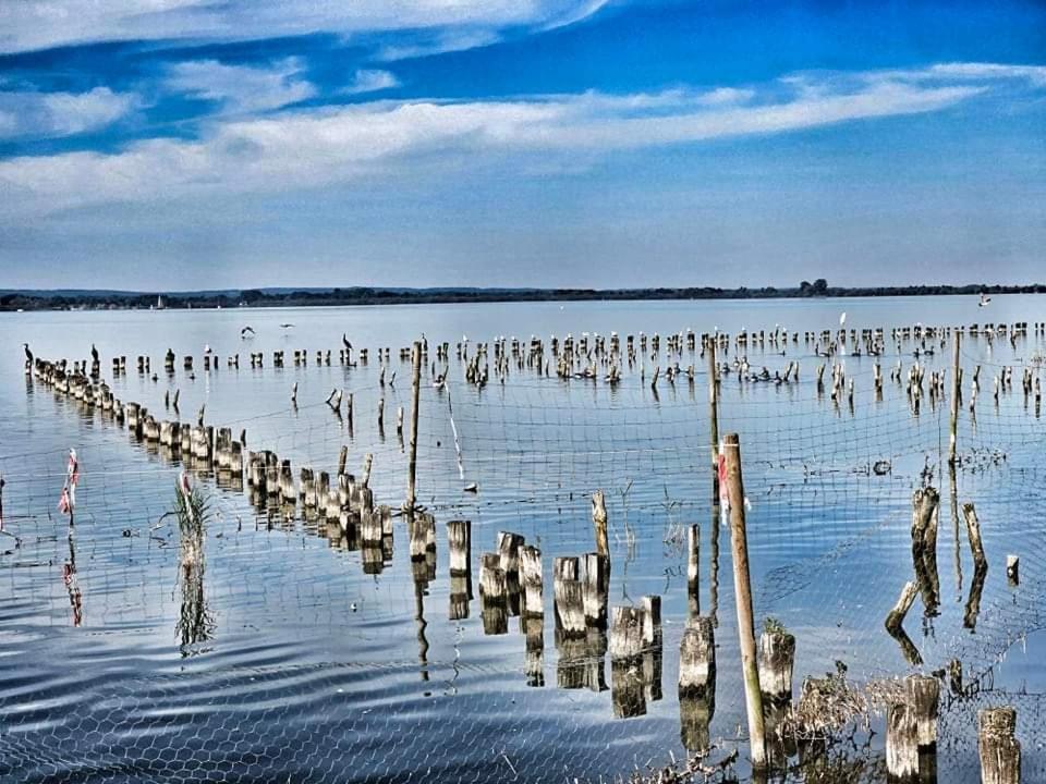 Duemmerliebe Mit Garten, 10 Min. Fusslaeufig Zum See Hüde Dış mekan fotoğraf